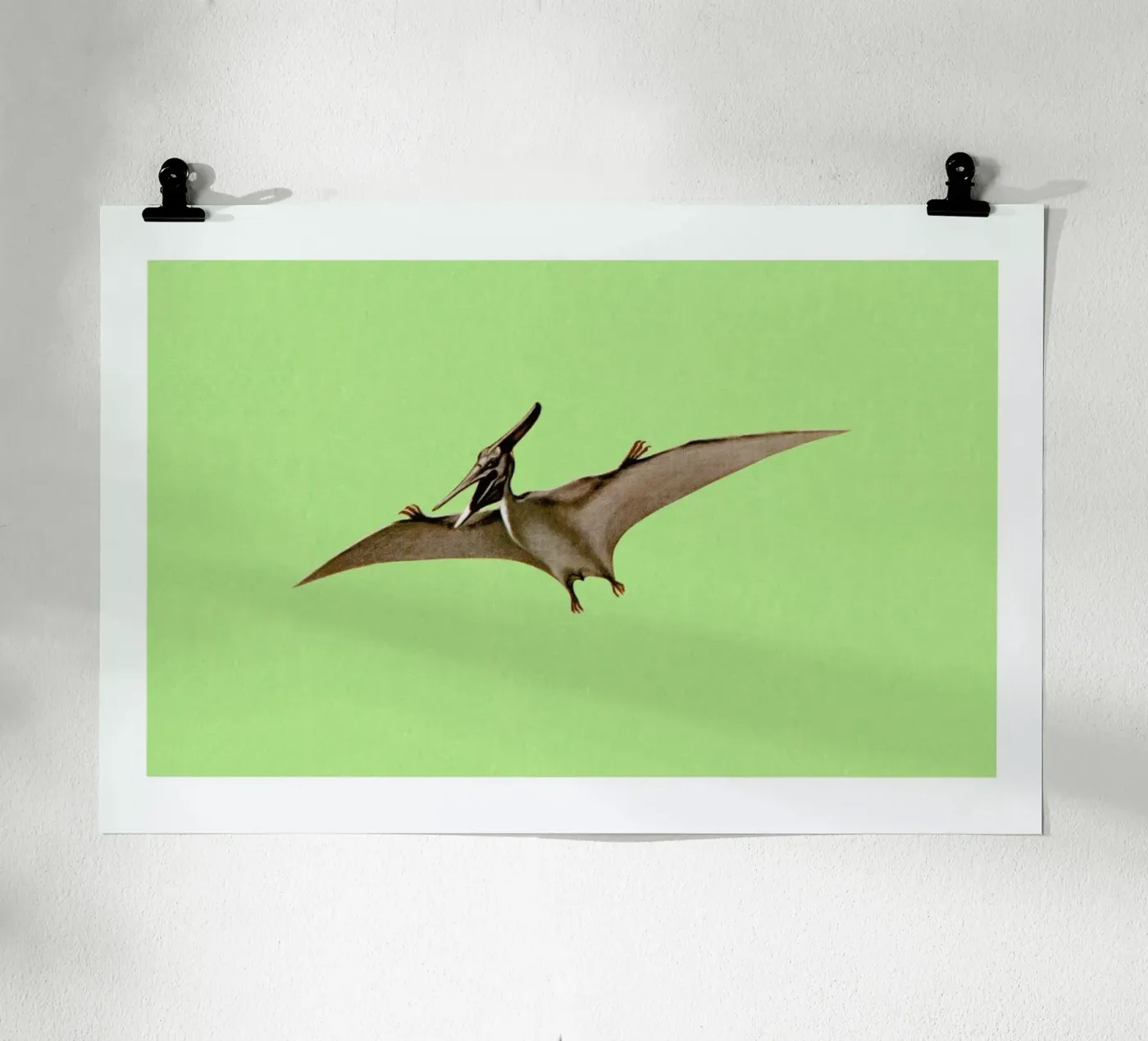 Pterodactyl Poster von Flora & Fauna
