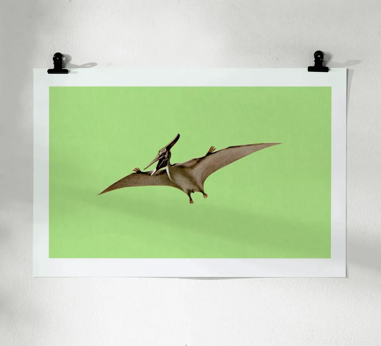 Pterodactyl poster da Flora & Fauna