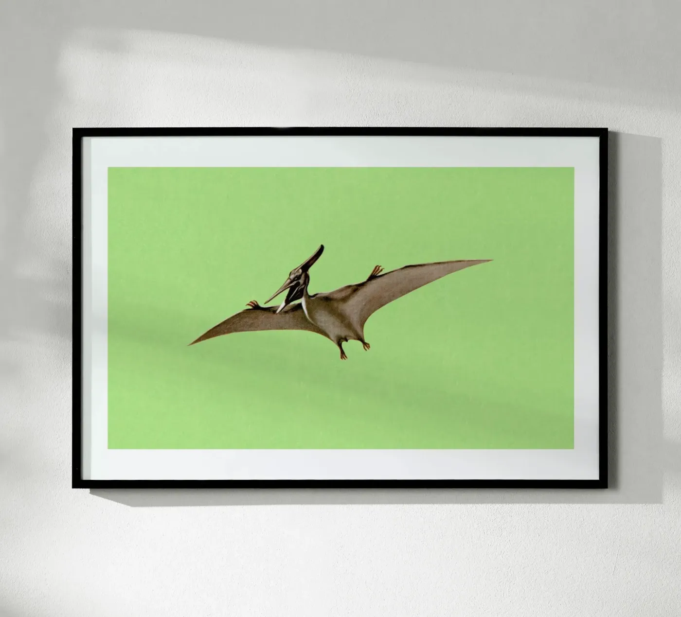 Pterodactyl Poster von Flora & Fauna