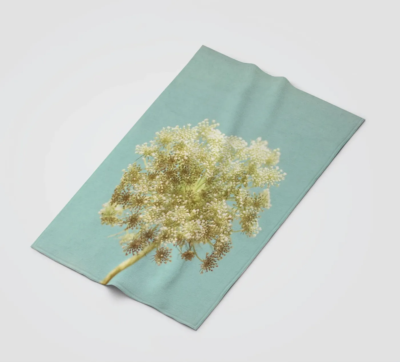 Leuchtende Fleecedecke von Cassia Beck Photography