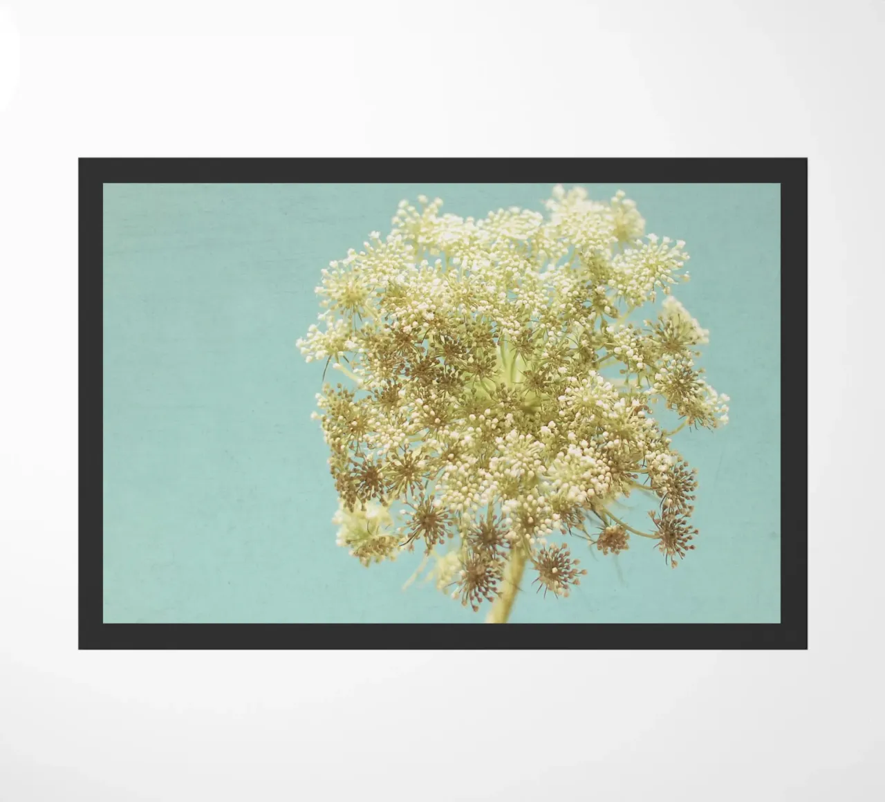 Luminous doormat by Cassia Beck Photography