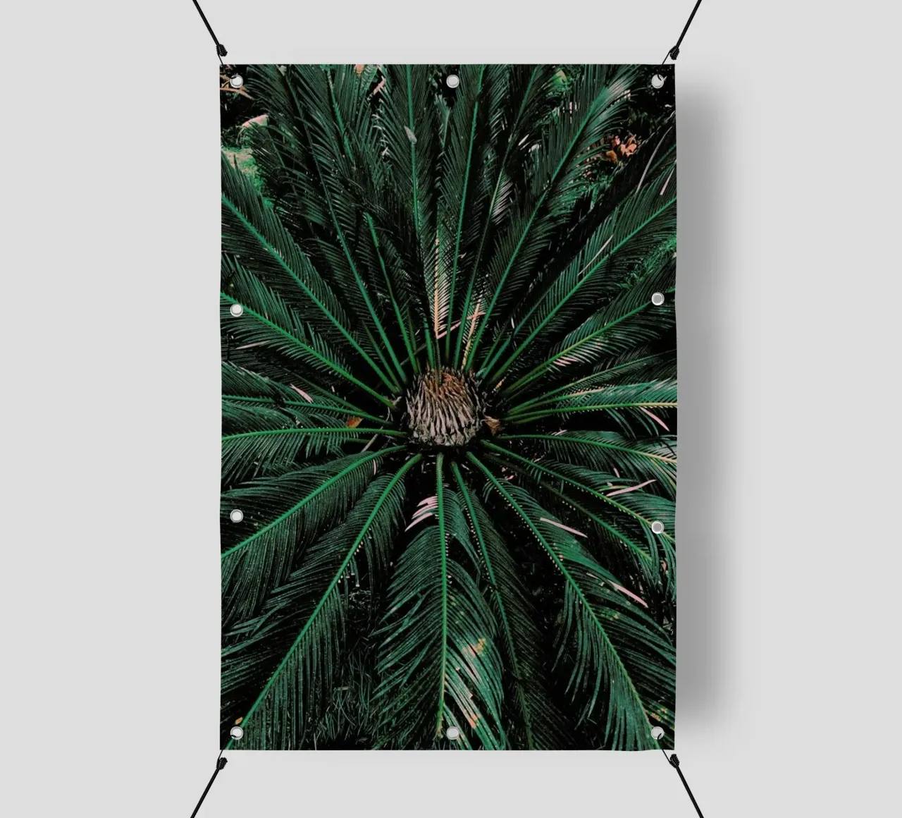Botanical — Palm Leaves telo in pvc da Sebastian Hilgetag