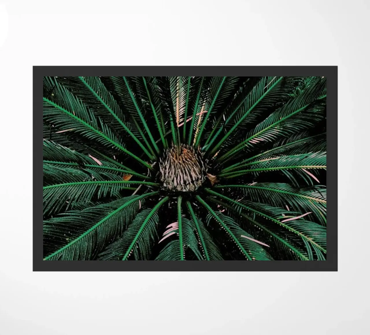 Botanical — Palm Leaves zerbino da Sebastian Hilgetag