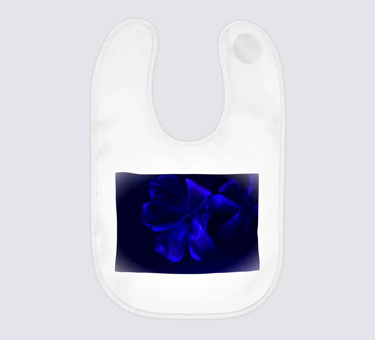 Fiore blu bavaglino da Alexandra Joseph Fotomomente