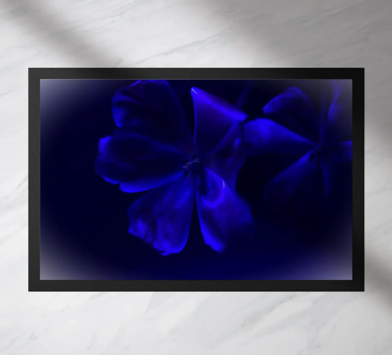 Fiore blu zerbino da Alexandra Joseph Fotomomente