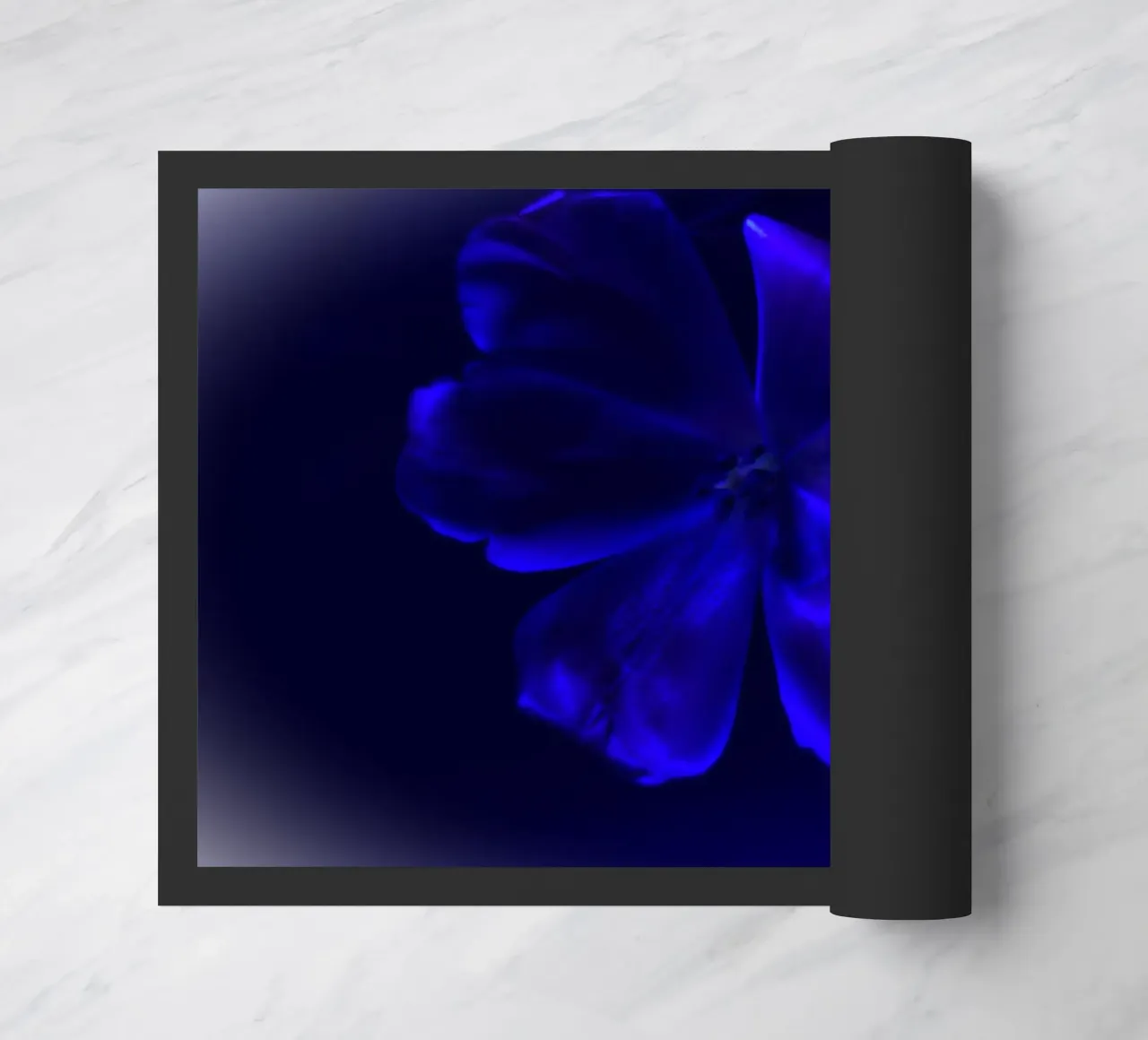 Fiore blu zerbino da Alexandra Joseph Fotomomente