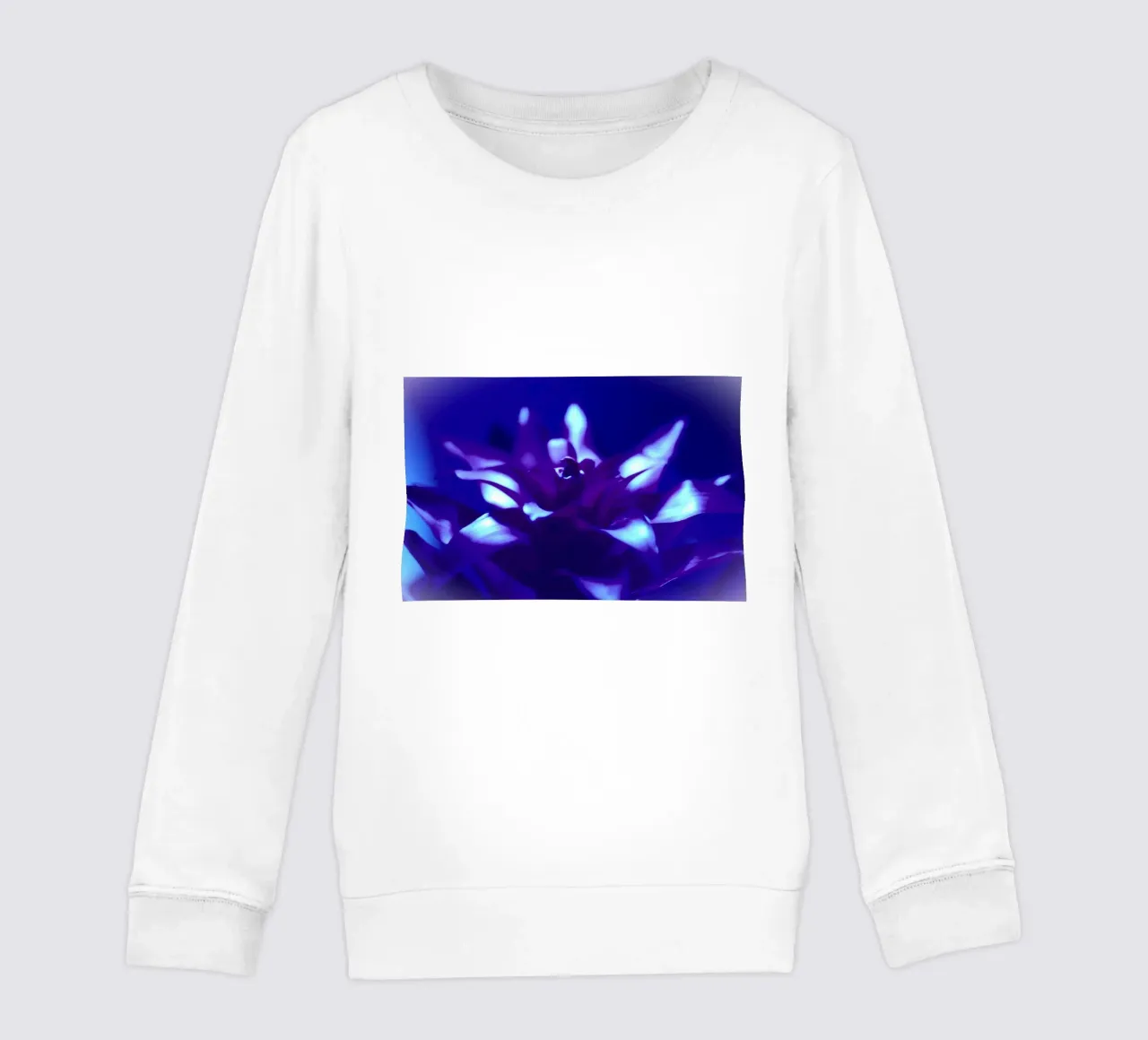 Luce nera per bromeliacee felpa bambino da Alexandra Joseph Fotomomente