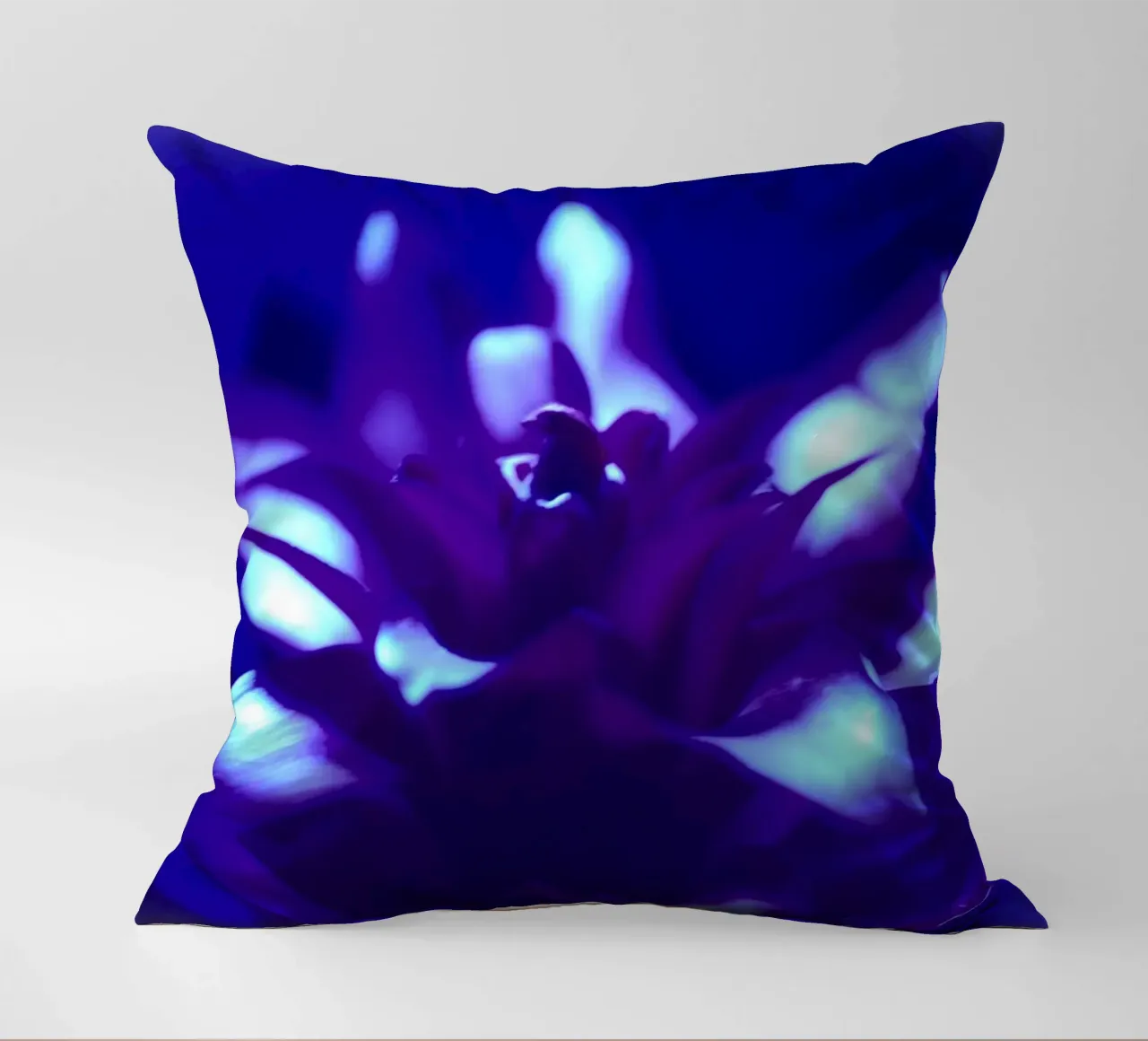 Luce nera per bromeliacee cuscino da Alexandra Joseph Fotomomente