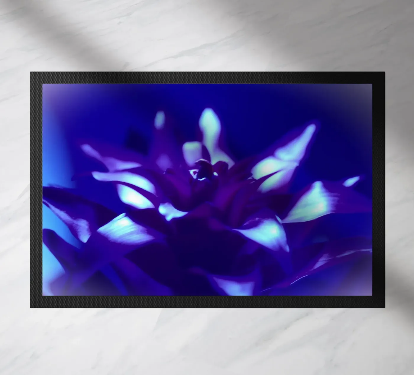 Bromeliad black light zerbino da Alexandra Joseph Fotomomente