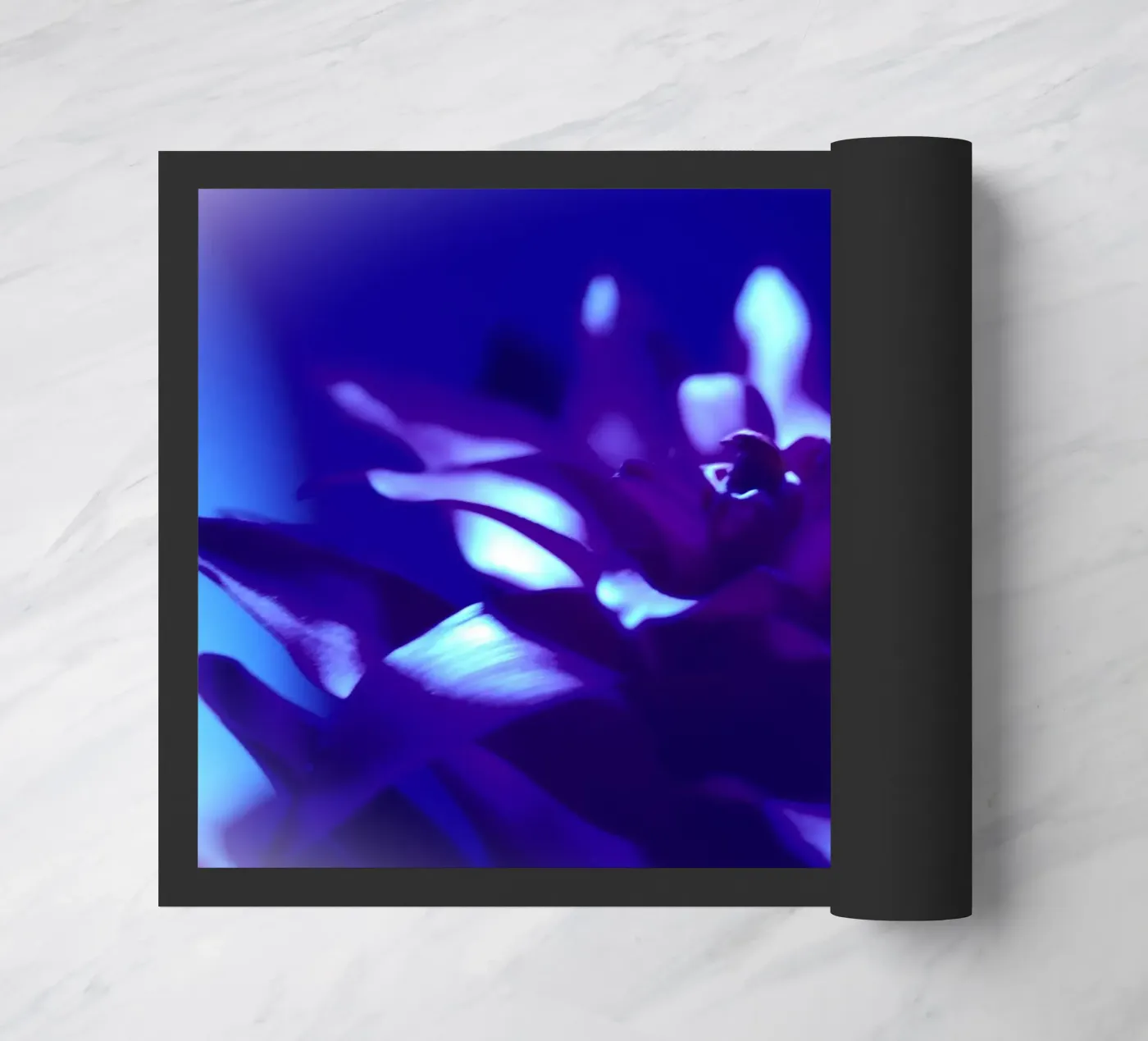Bromeliad black light zerbino da Alexandra Joseph Fotomomente