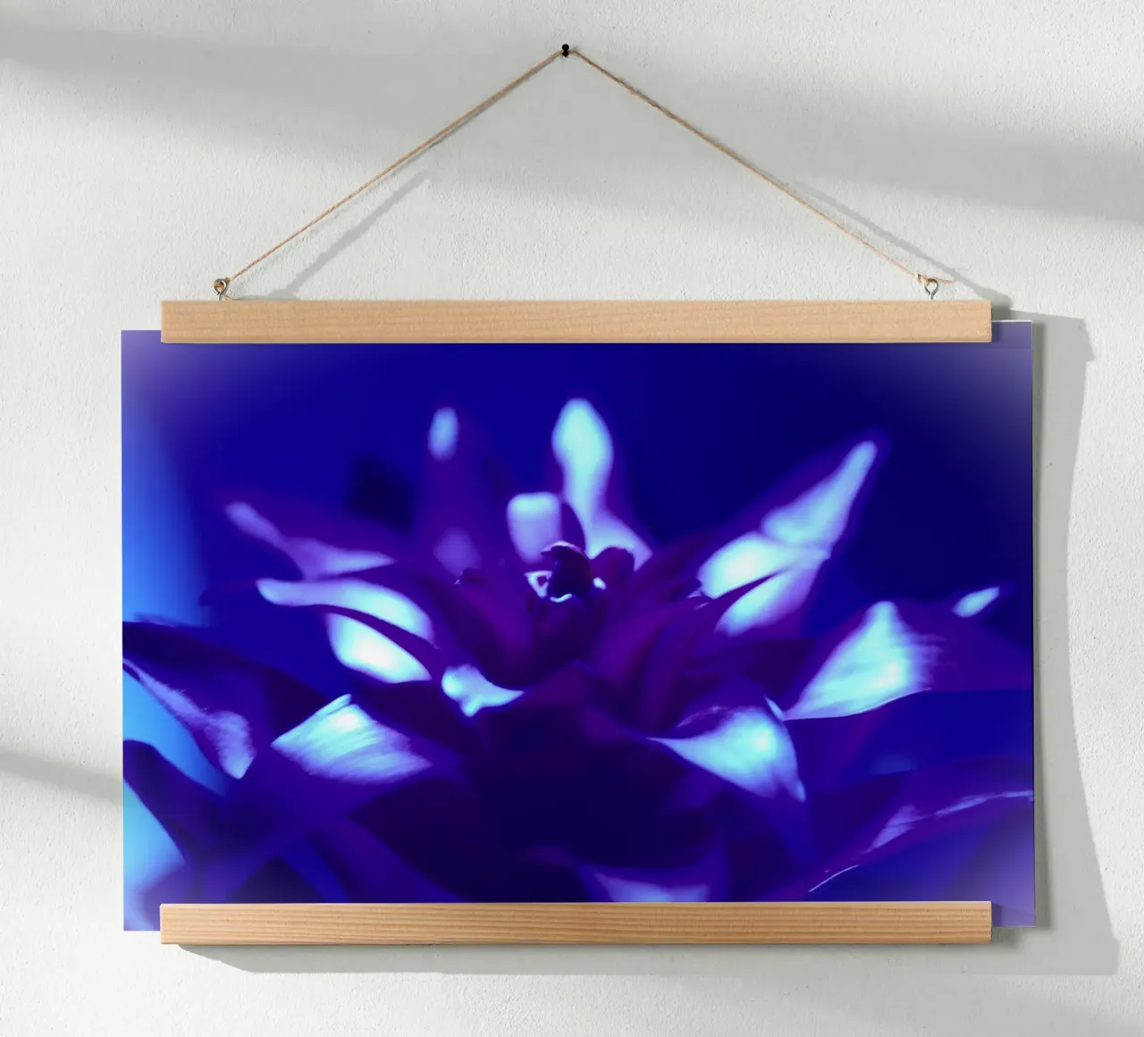 Luce nera per bromeliacee carta hahnemühle da Alexandra Joseph Fotomomente
