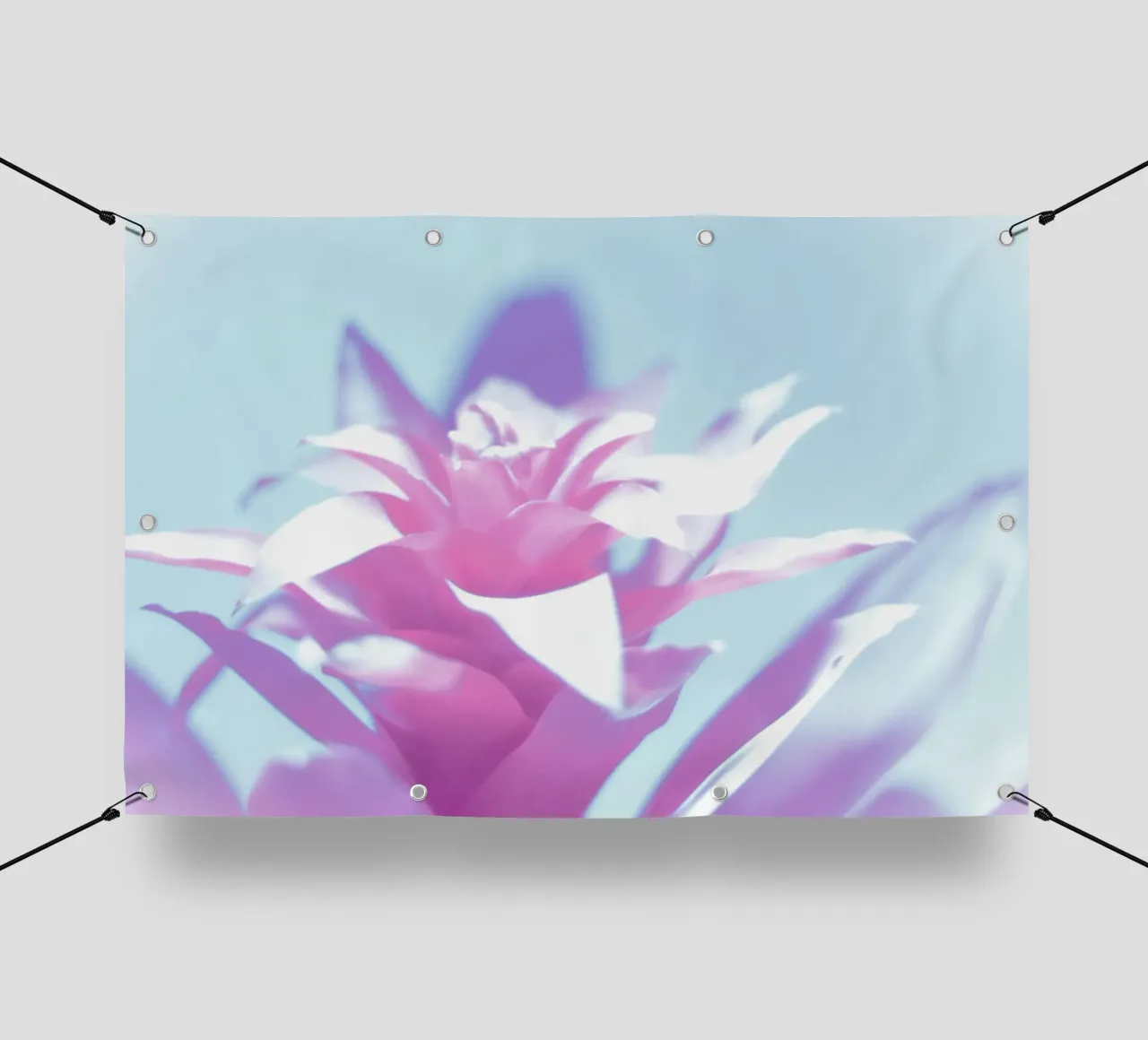 Luce soffusa telo in pvc da Alexandra Joseph Fotomomente