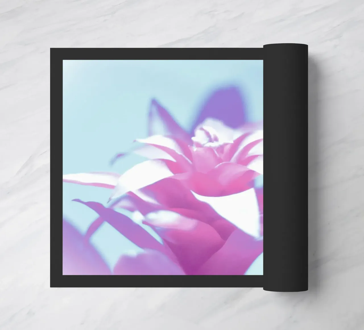 Luce soffusa zerbino da Alexandra Joseph Fotomomente