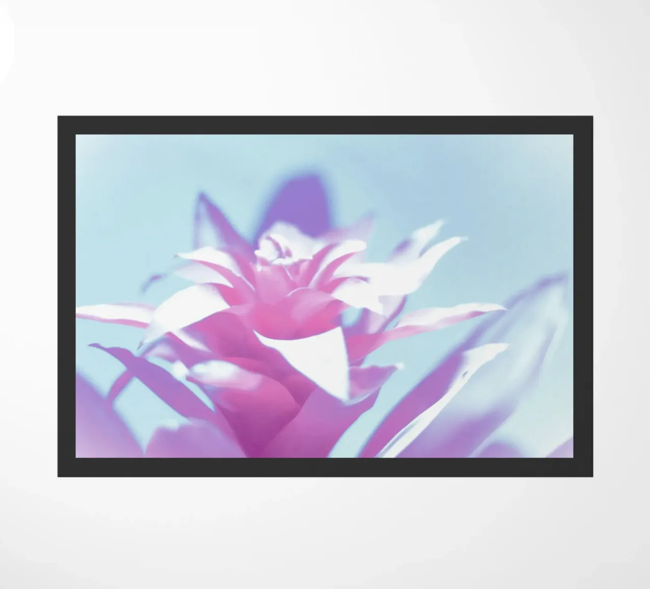 Luce soffusa zerbino da Alexandra Joseph Fotomomente