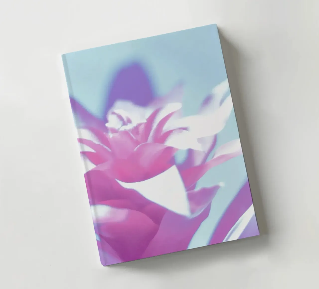 Lumière douce carnet de notes de Alexandra Joseph Fotomomente