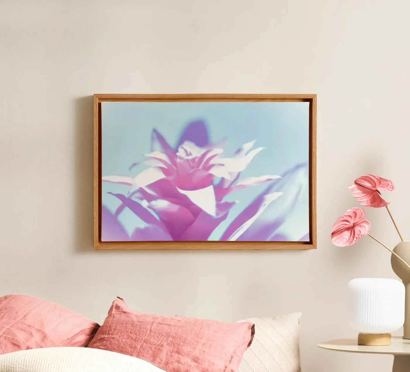 Soft Light tela da Alexandra Joseph Fotomomente