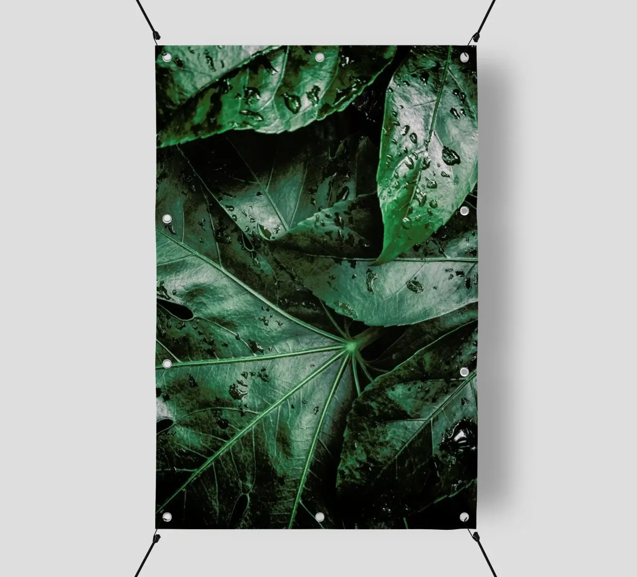 Tropics lonas publicitarias de Flora & Fauna