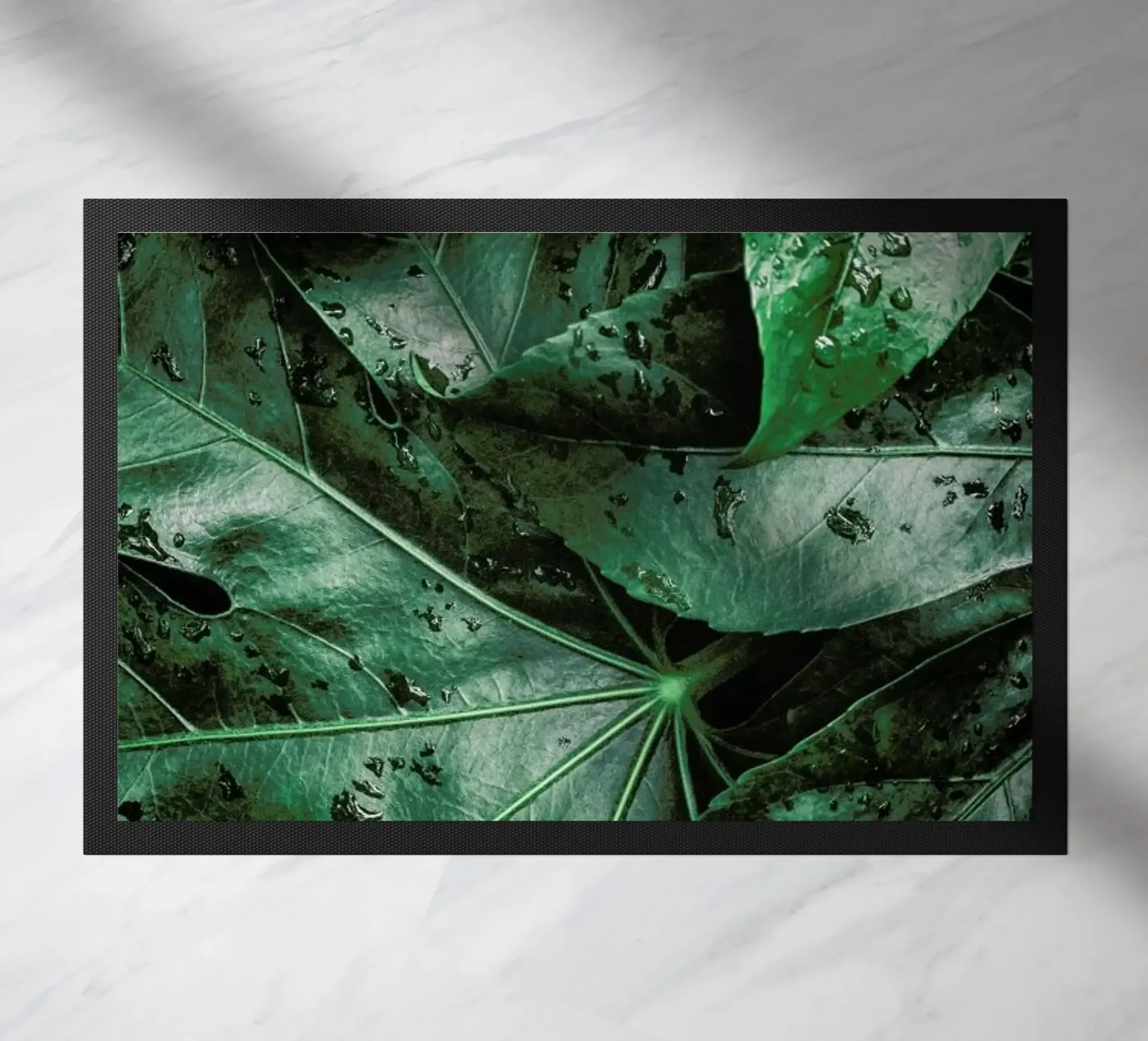 Tropics zerbino da Flora & Fauna