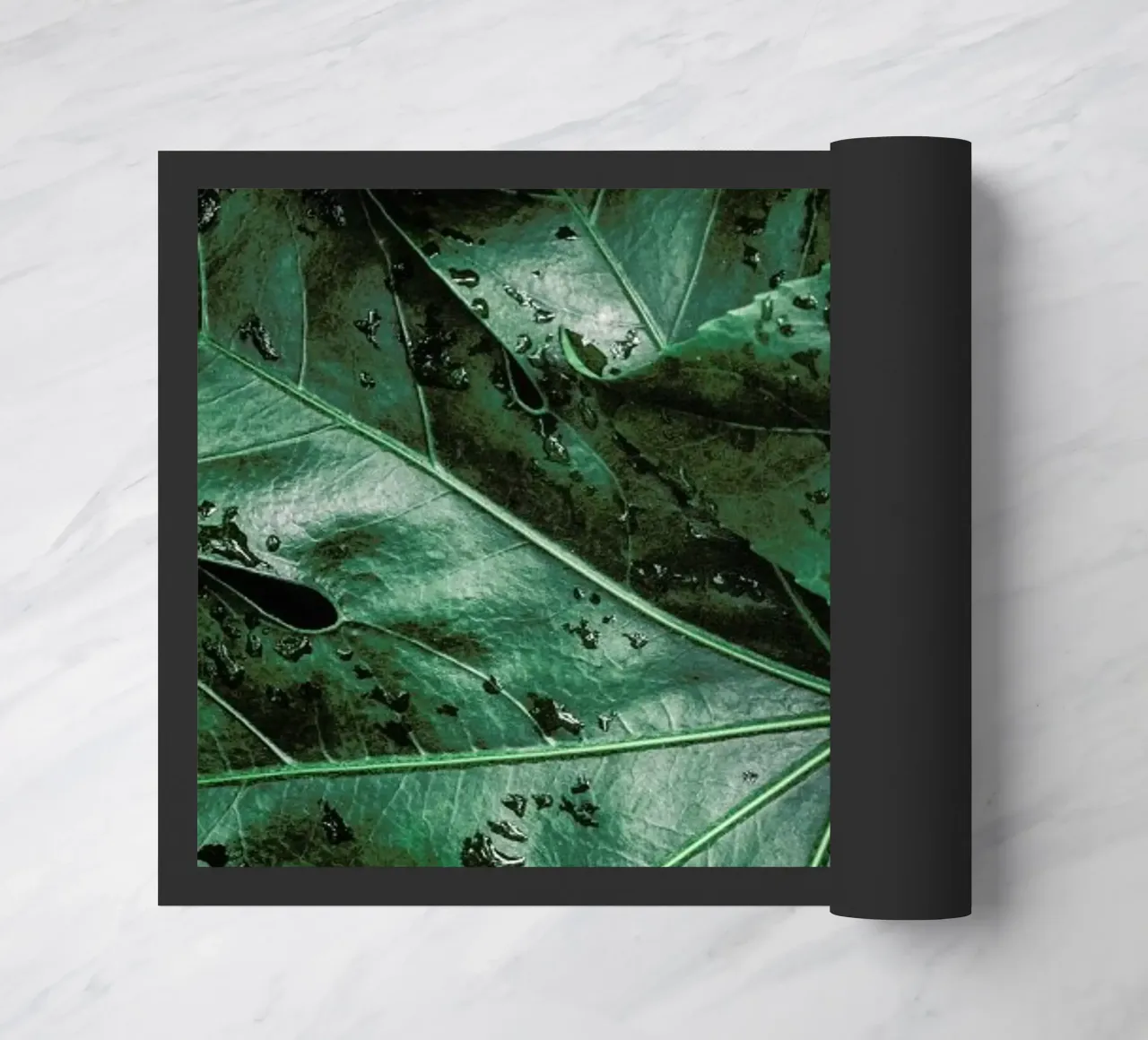 Tropics zerbino da Flora & Fauna