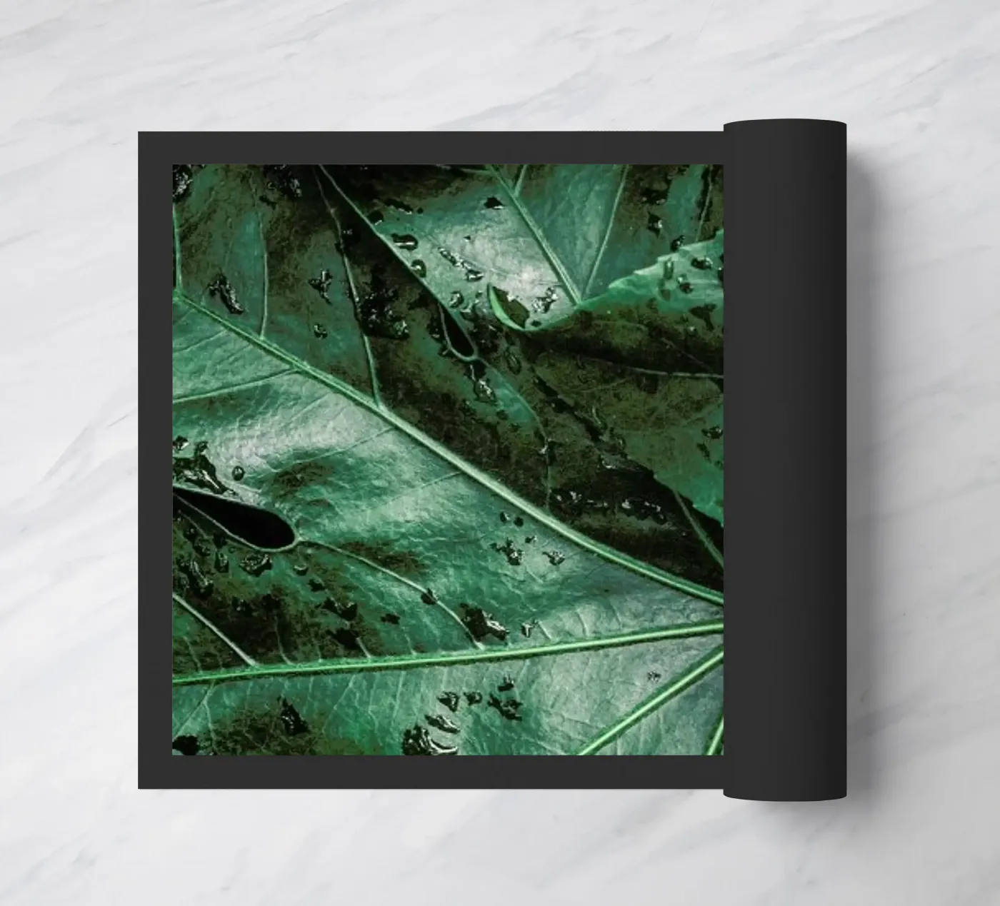 Tropics zerbino da Flora & Fauna