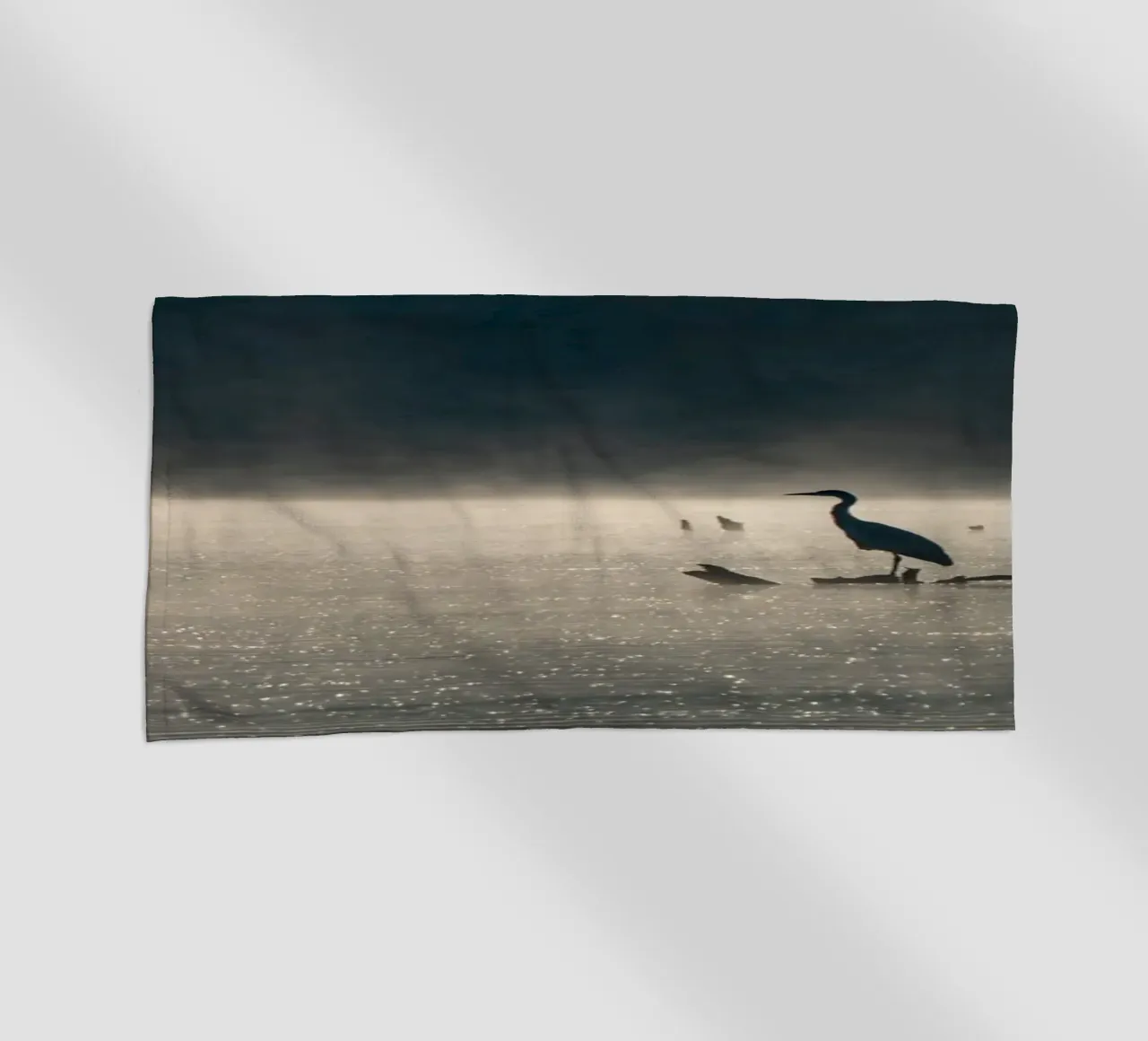 Grey Heron telo mare da anderm