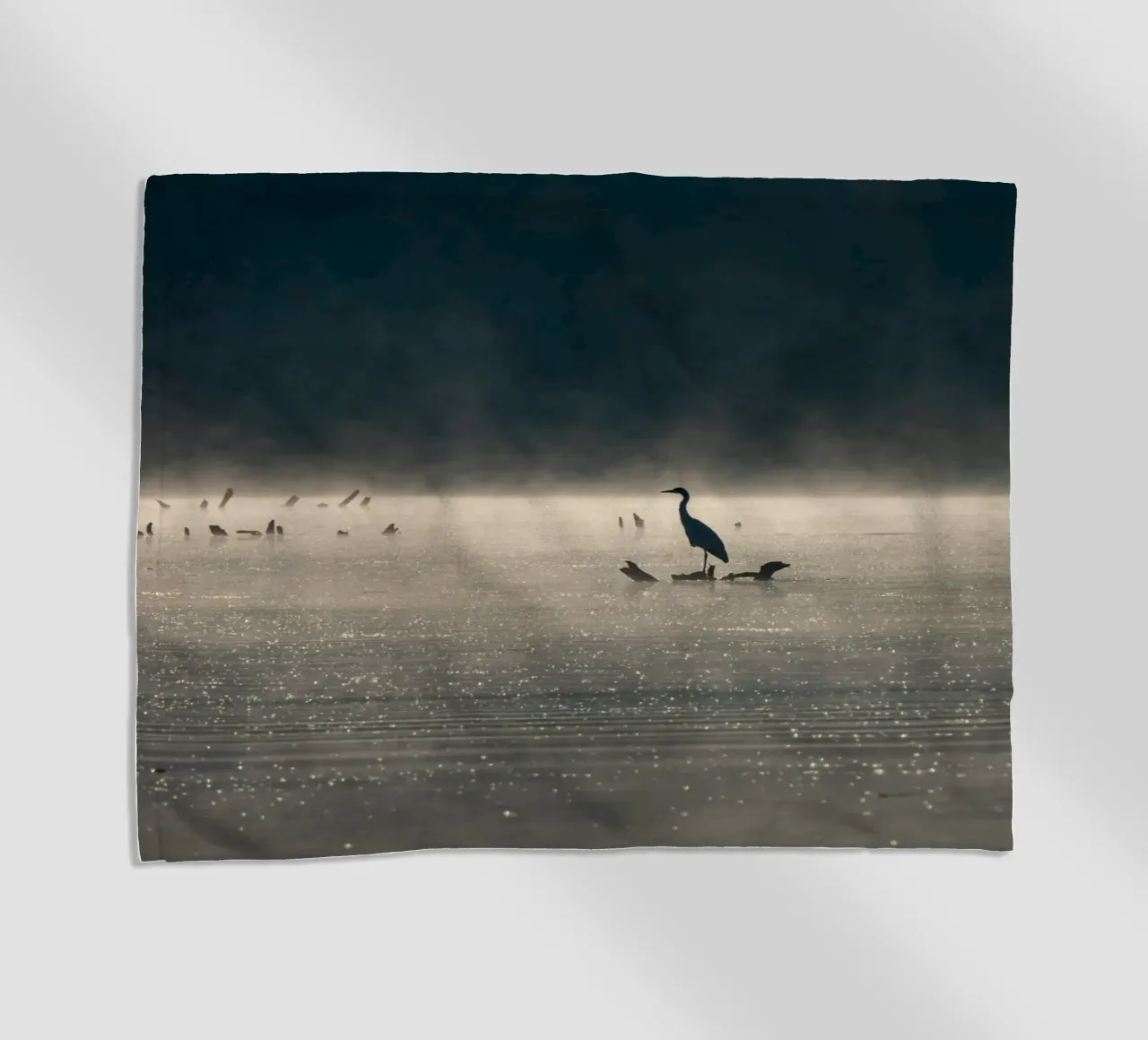 Grey Heron telo mare da anderm