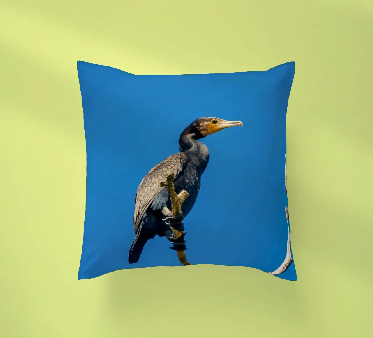 Black cormorant cuscino da anderm