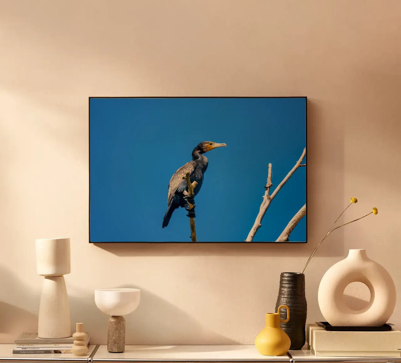 Black cormorant alluminio dibond da anderm