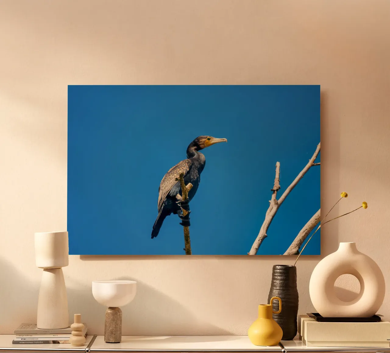 Black cormorant alluminio dibond da anderm