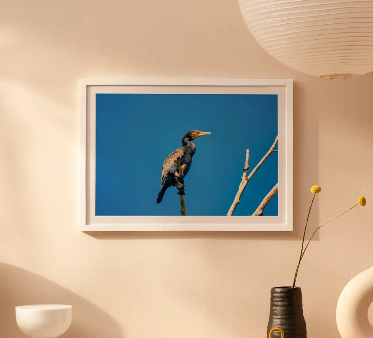 Black cormorant poster con telaio in legno da anderm