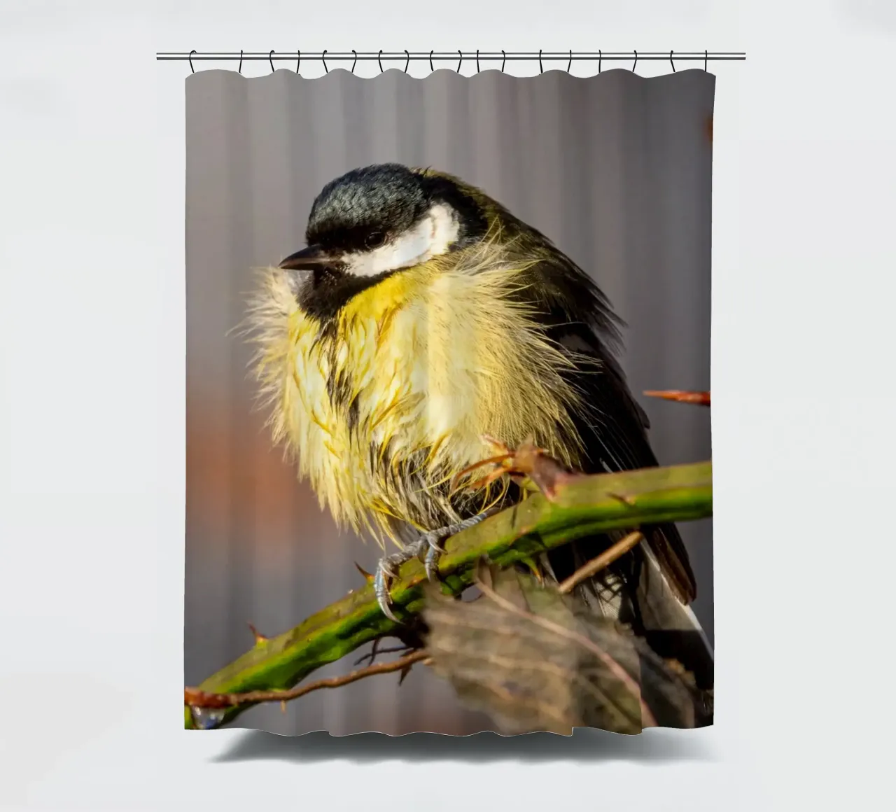 Tit (Paridae) shower curtain by anderm