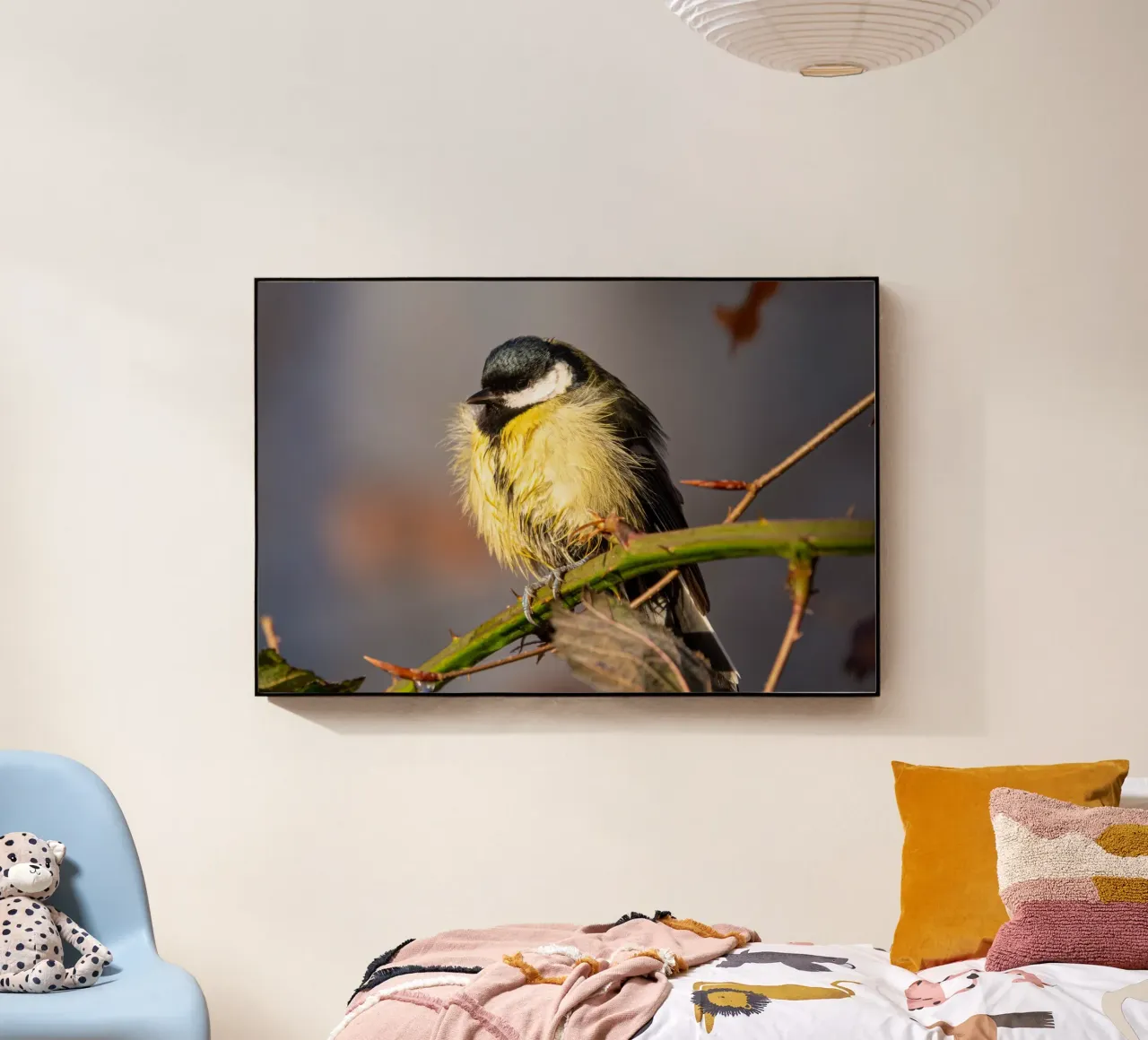 Tit (Paridae) plexiglass da anderm