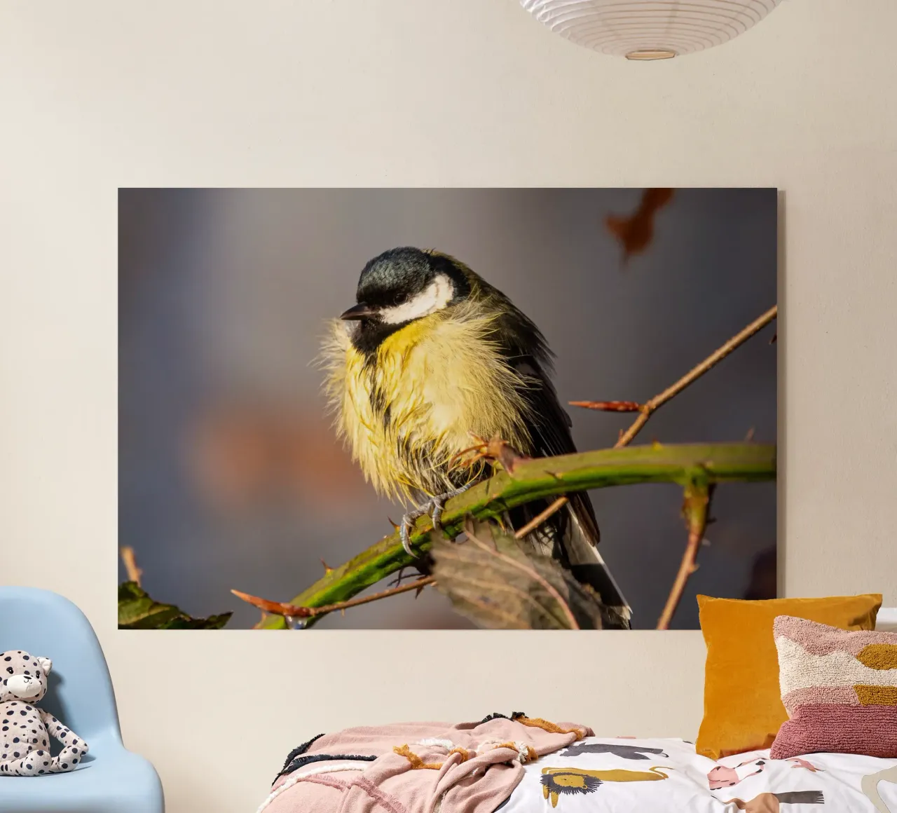 Tit (Paridae) plexiglass da anderm