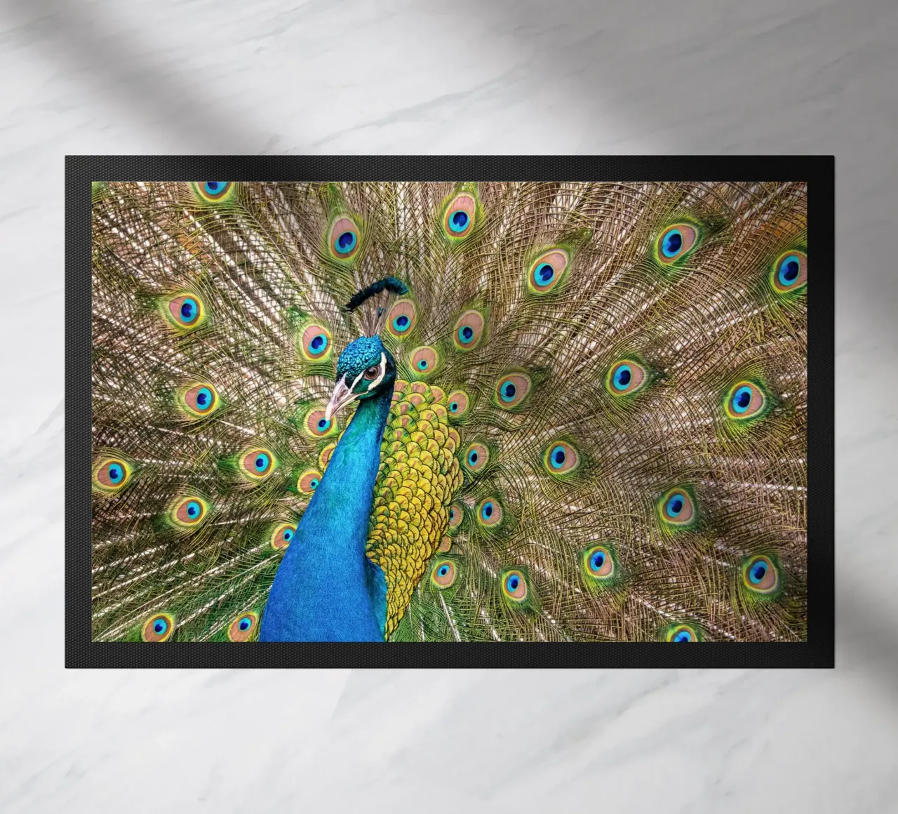 Peacock zerbino da anderm