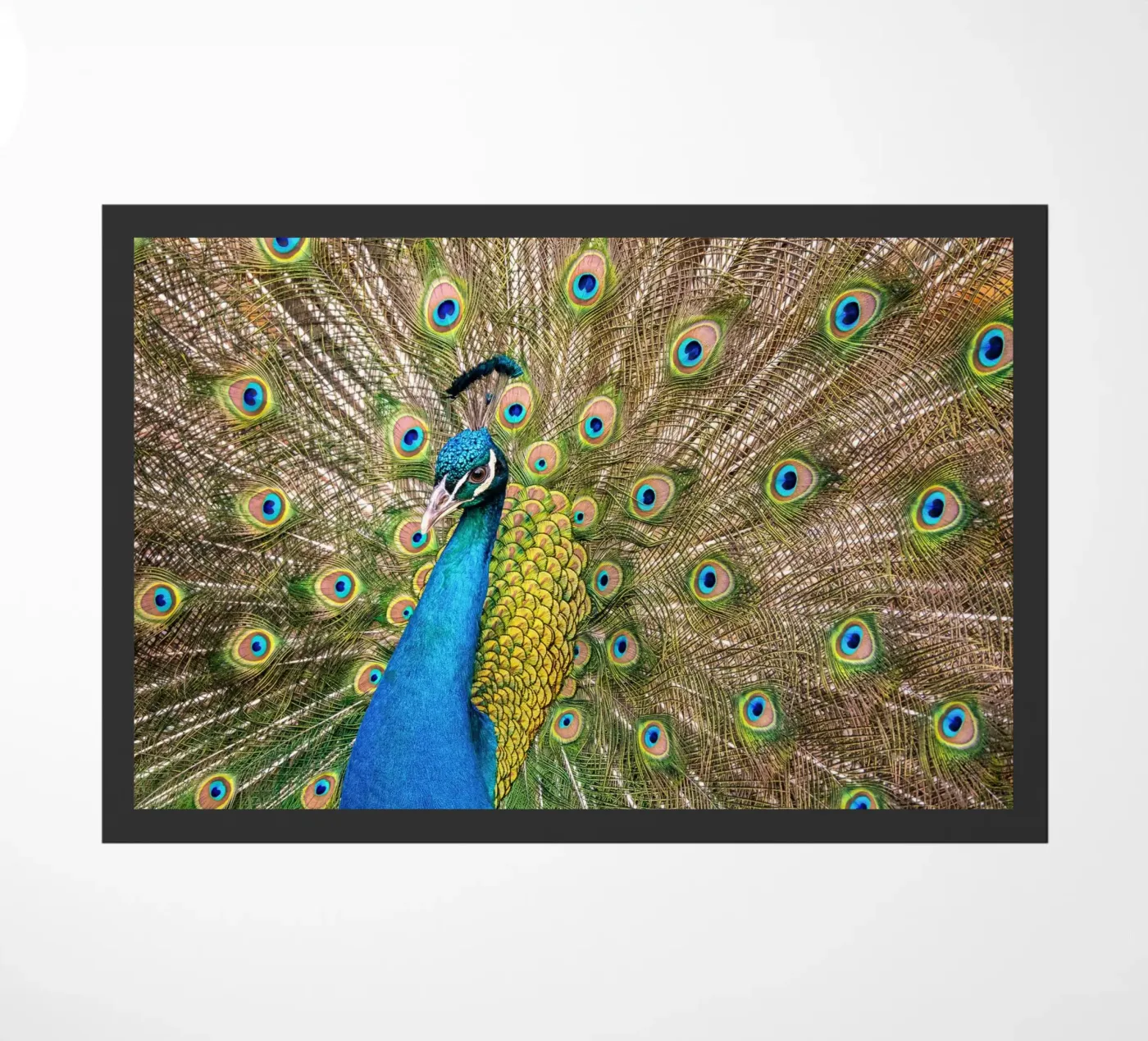 Peacock doormat by anderm