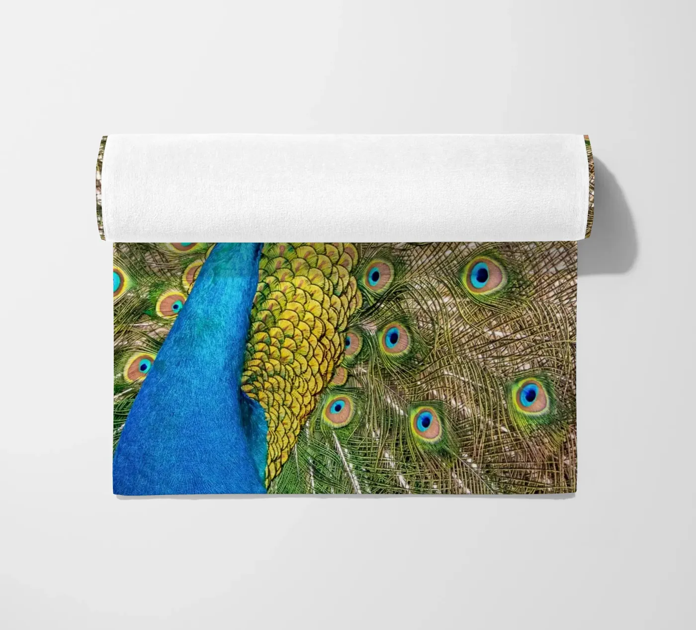 Peacock telo mare da anderm