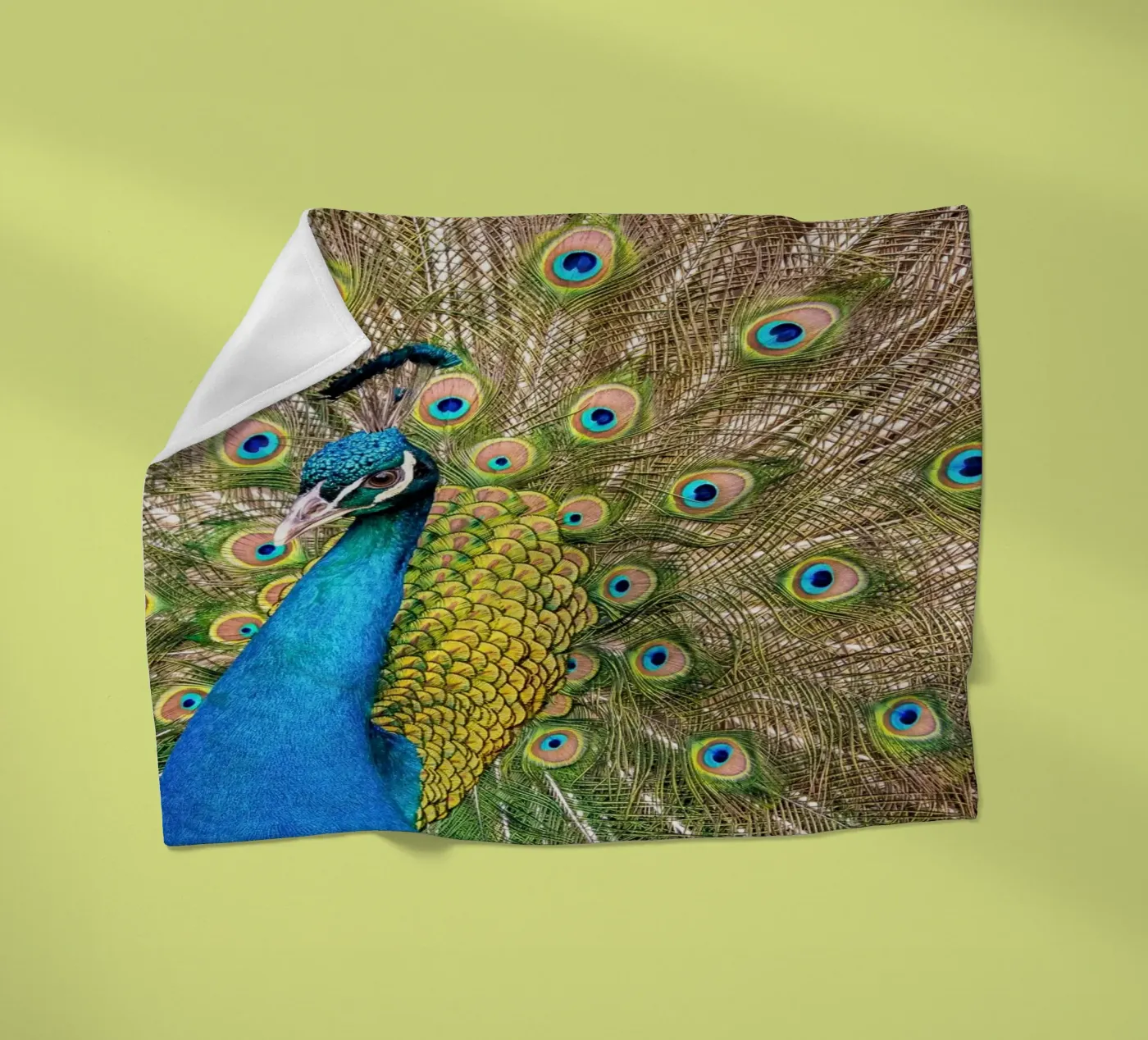 Peacock Fleecedecke von anderm
