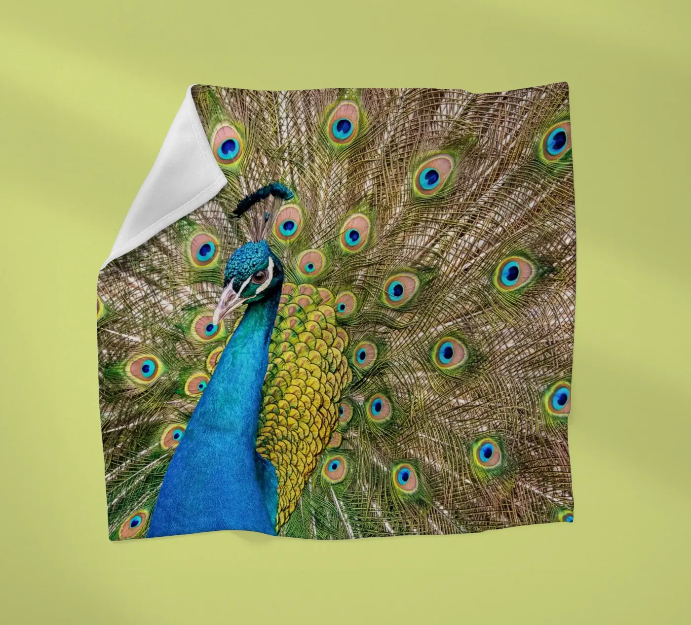 Peacock Fleecedecke von anderm