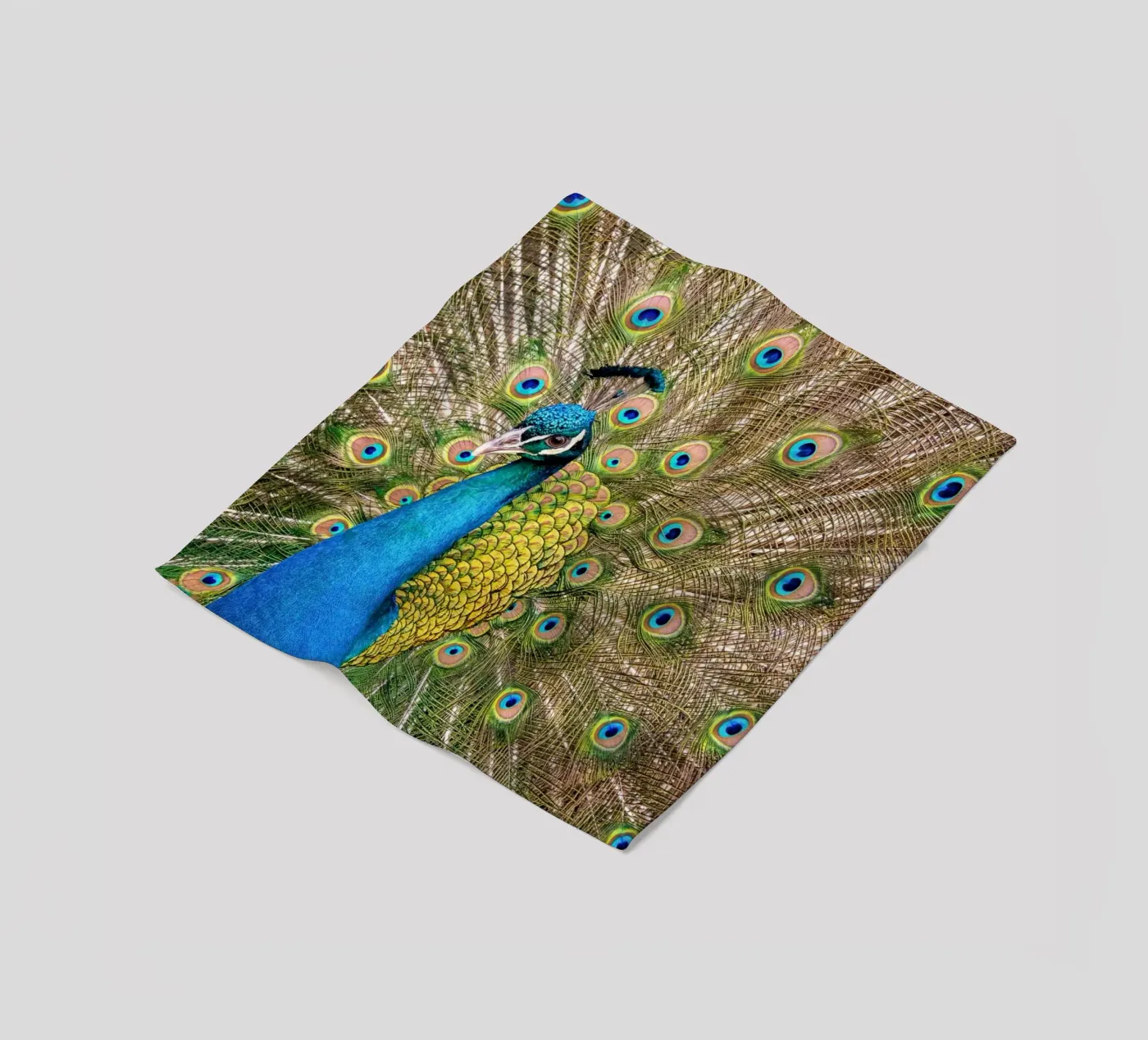 Peacock Fleecedecke von anderm