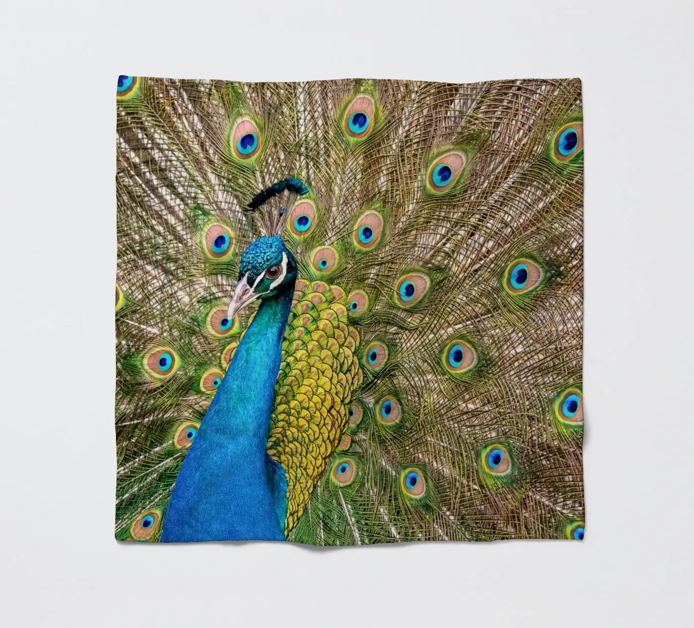 Peacock Fleecedecke von anderm