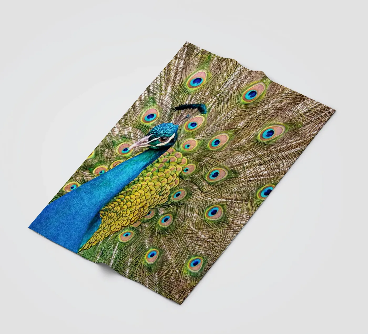 Peacock Fleecedecke von anderm