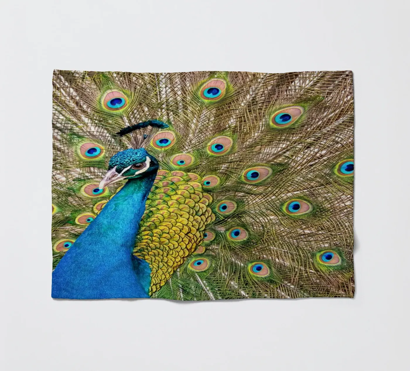 Peacock Fleecedecke von anderm