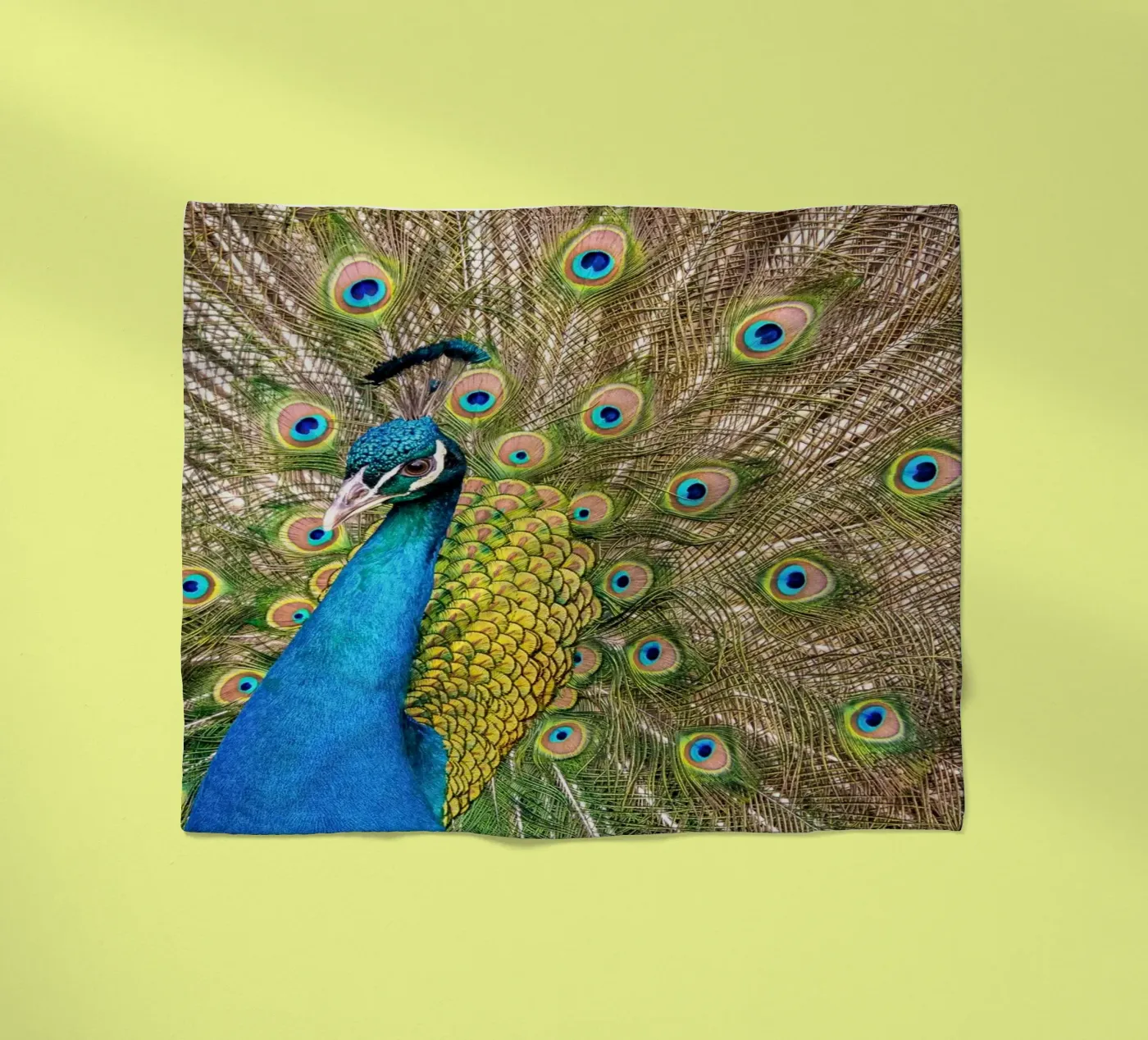 Peacock Fleecedecke von anderm