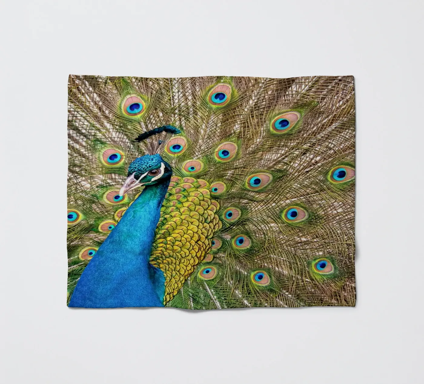 Peacock Fleecedecke von anderm