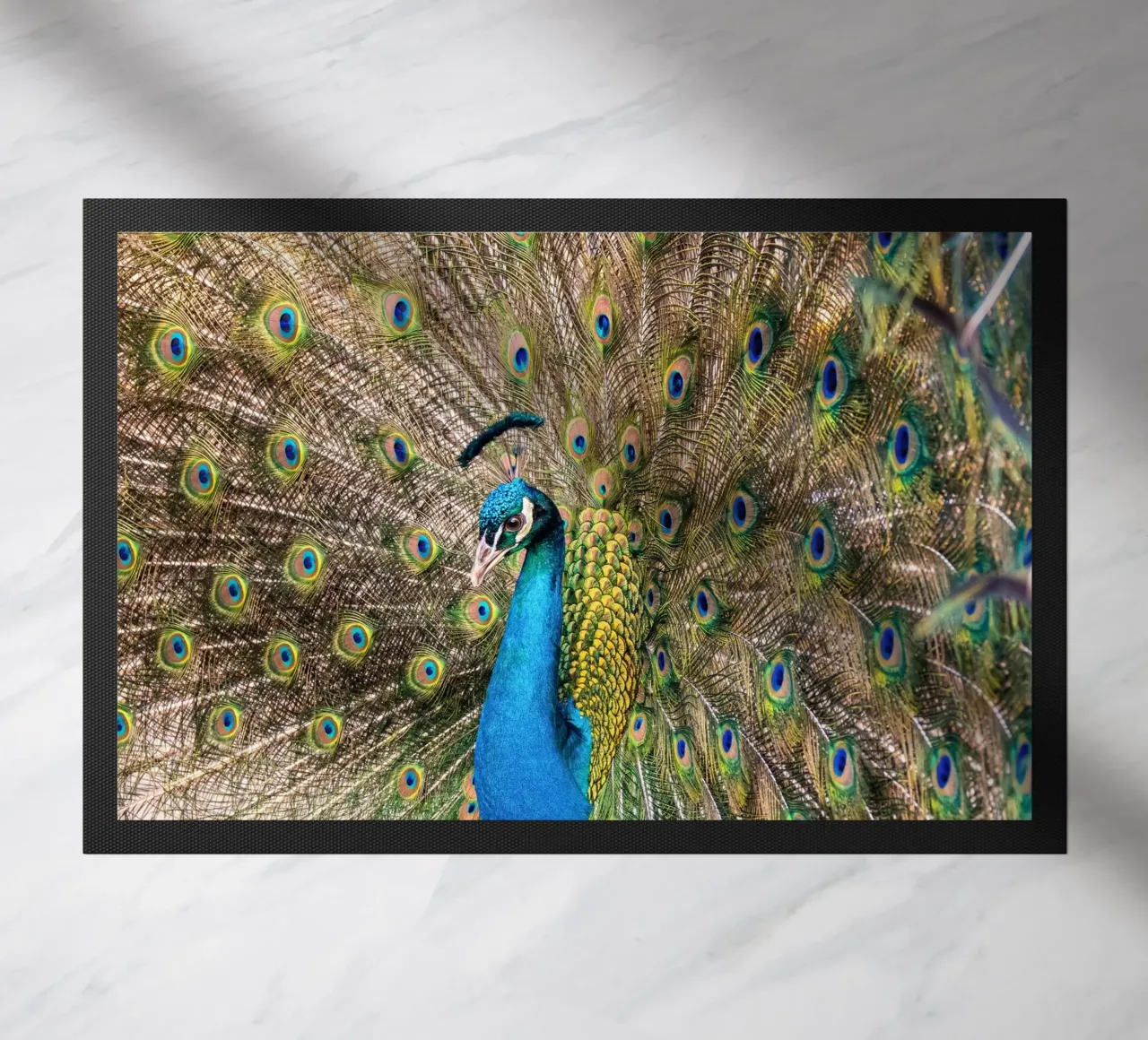 Peacock zerbino da anderm