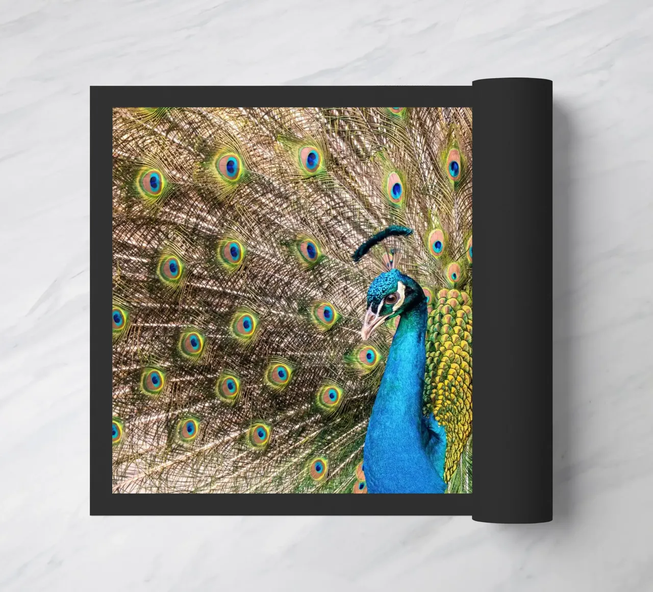 Peacock zerbino da anderm