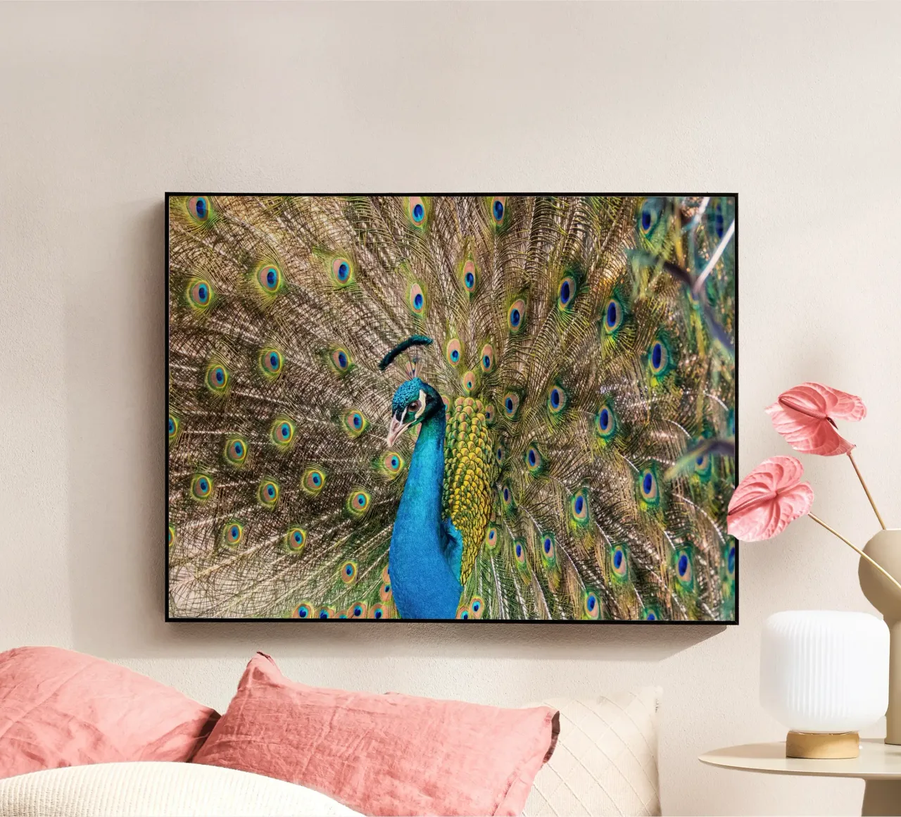 Peacock plexiglass da anderm