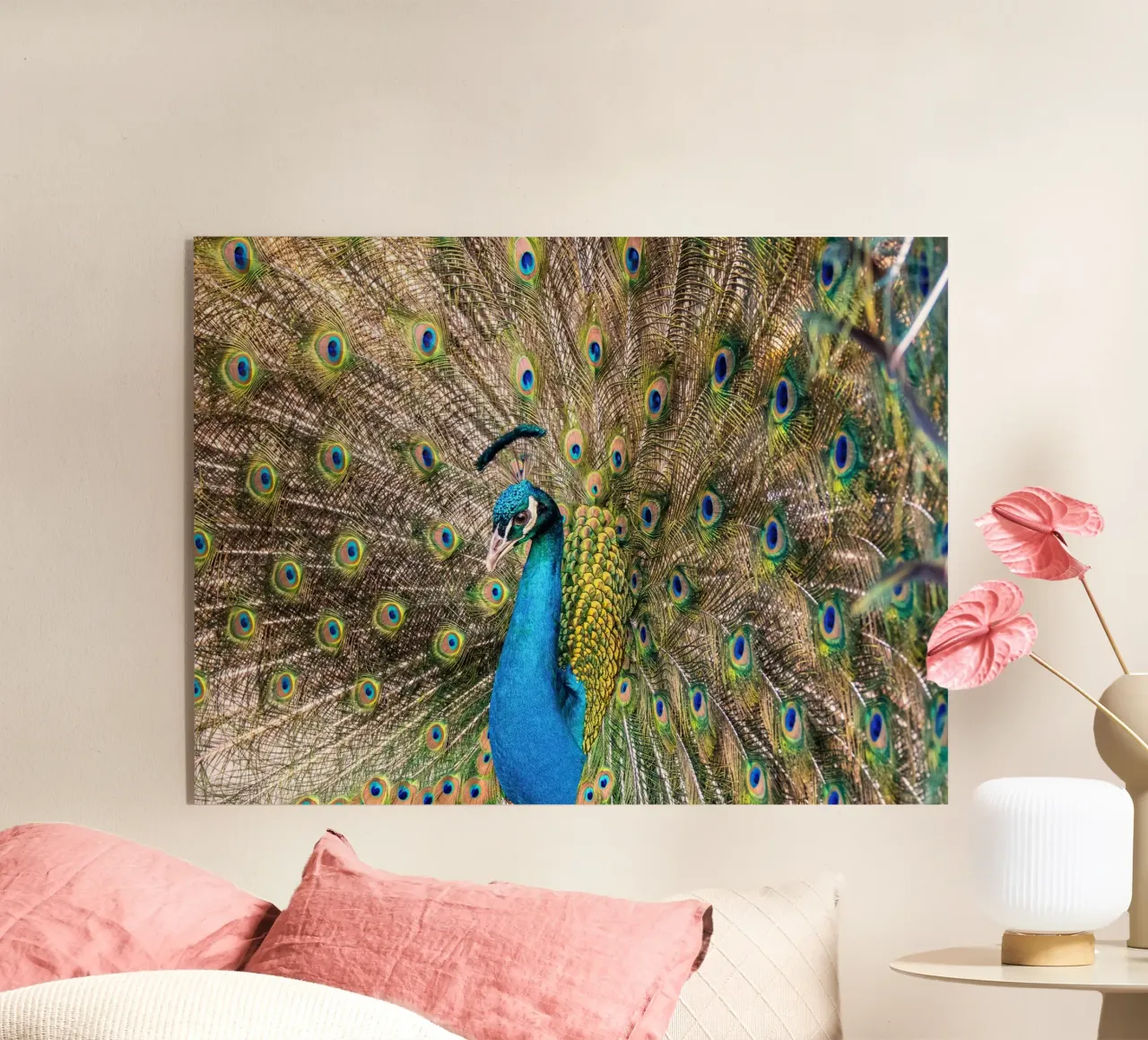 Peacock plexiglass da anderm