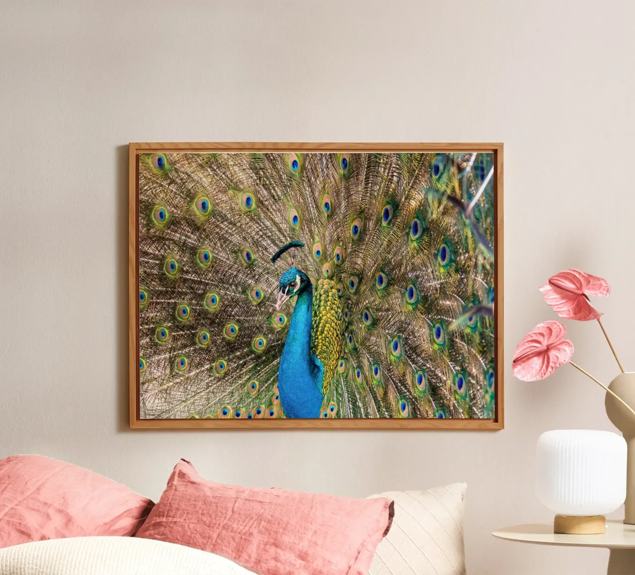 Peacock forex plate by anderm