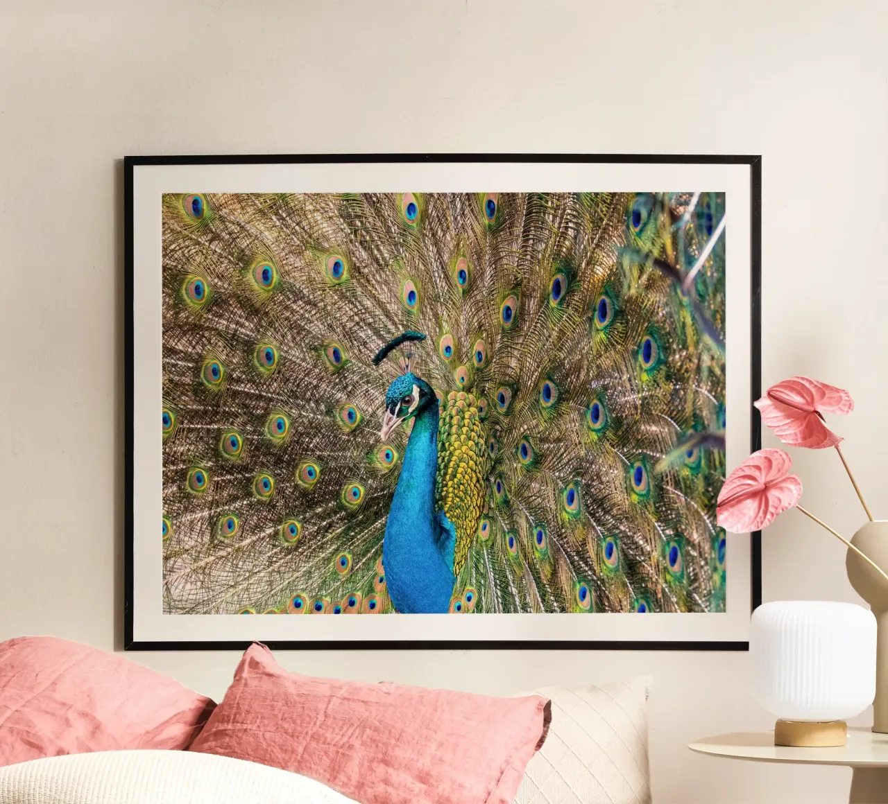 Peacock poster da anderm